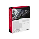 Kingston Technology 4000G RENEGADE PCIe 4.0 NVMe SSD W/ HEATSINK